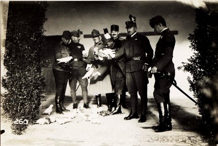 Taubenfütterung in Pekinj. (BildID 15571645)