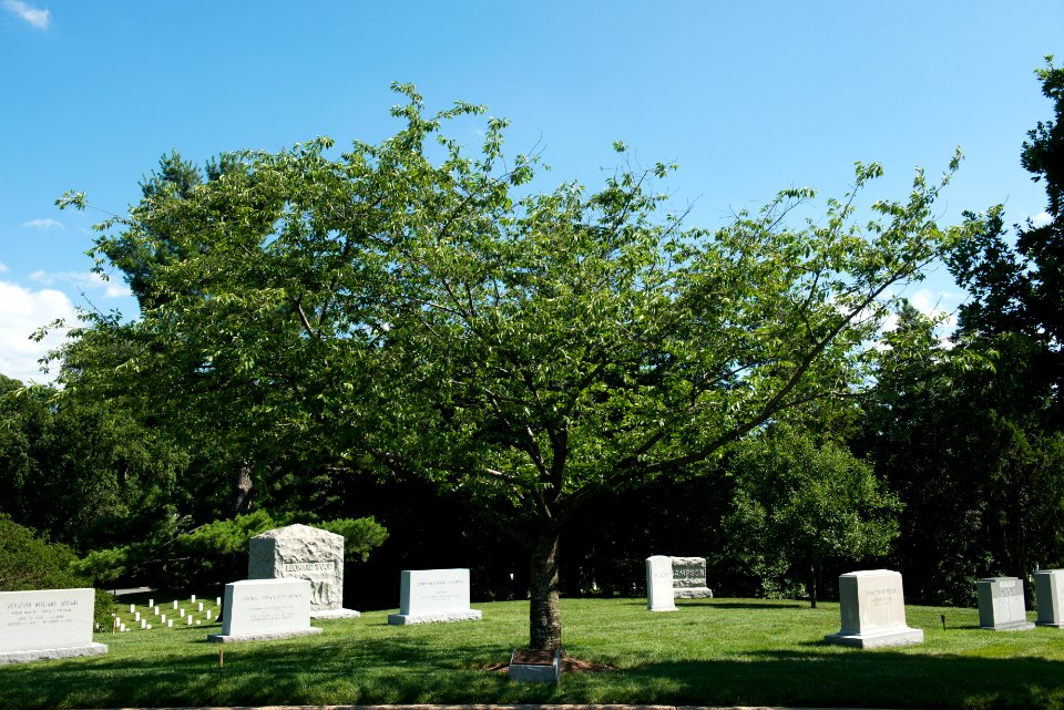 Task Force Smith Memorial in Arlington National Cemetery. (27706852260)