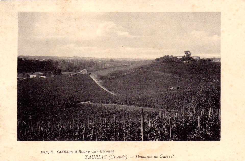 Tauriac - domaine de Guerrit
