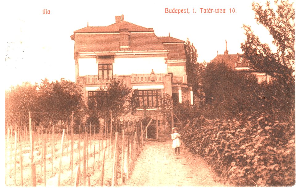 Tatár-utca 10 szám 1917 (1)