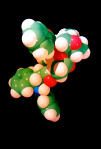Taxol molecule photo