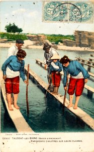 Taussat-les-bains - Parqueurs d'huitres