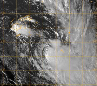 TC Hettie 28-01-09 14.30z