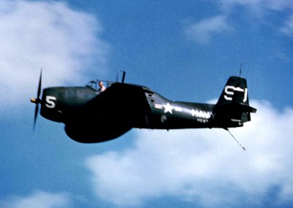 TBM-3W Avenger of VS-871 in flight c1951