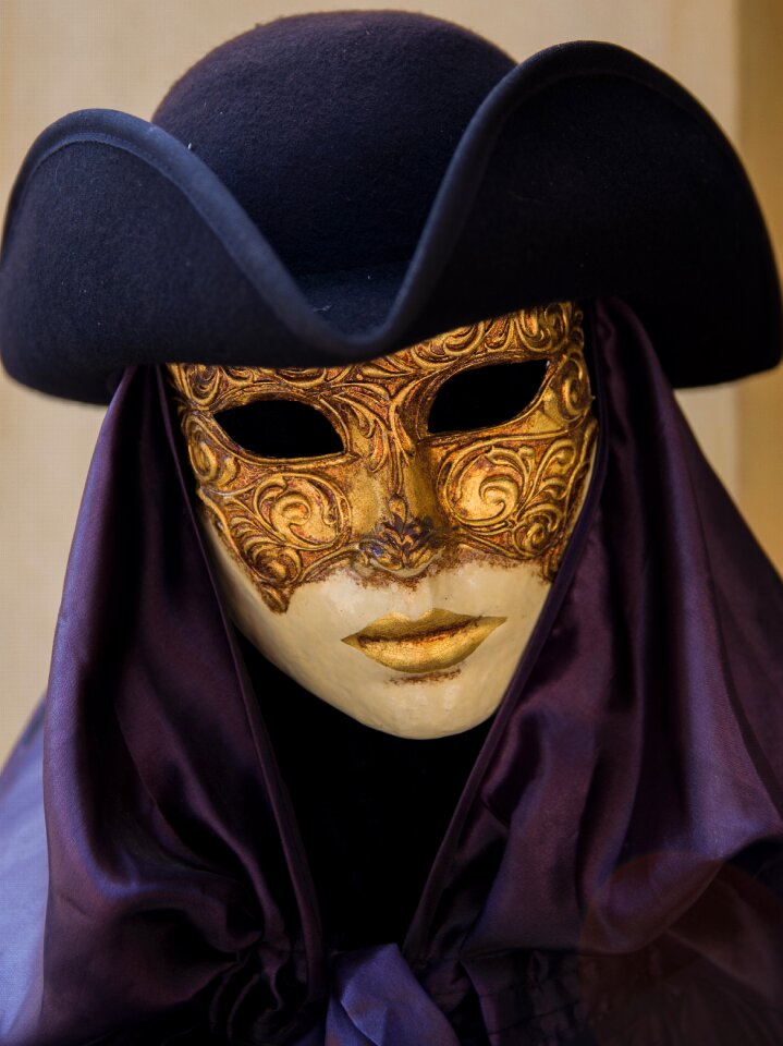 Carnival costume dress up