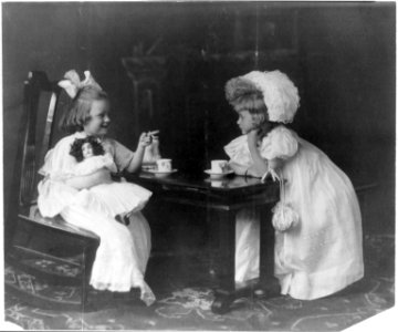 Tea party LCCN2003681239