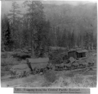 Teaming from the Central Pacific Railroad at Cisco, Placer County LCCN2002723814