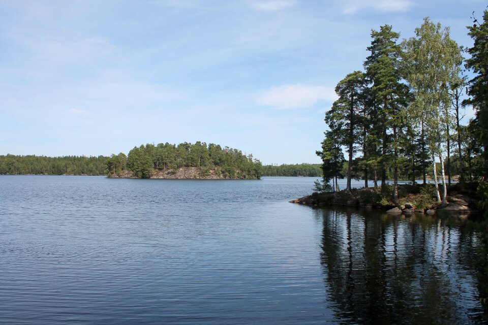 Water idyllic tree