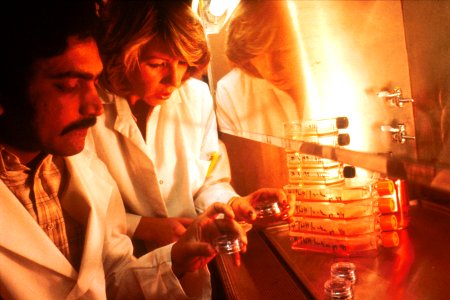 Technicians examine tissue culture photo