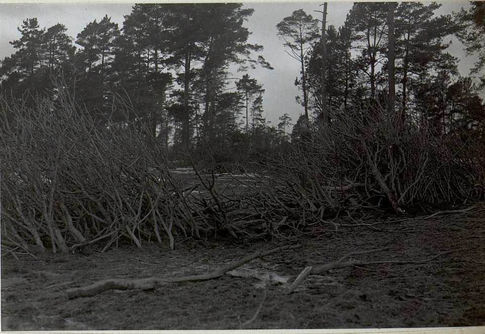 Technischer Kurs.Astverhaue nach der Sprengung (BildID 15663678)