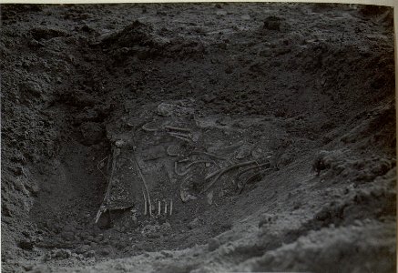 Technischer Kurs.Ecktreffer Objekt 7.detailiert. (BildID 15663776)