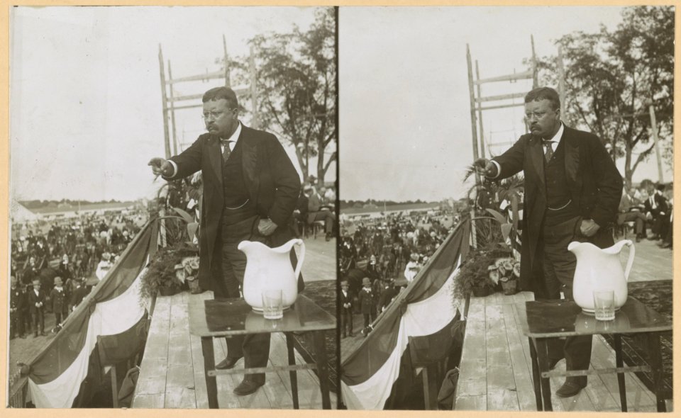 Teddy Roosevelt at Concord, N.H. LCCN2009633758