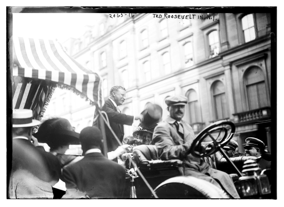 Ted Roosevelt in N.Y. LCCN2014688416
