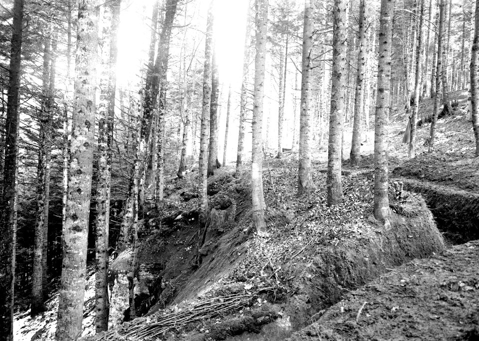 Teil des fertigen Schützengrabens - CH-BAR - 3240428