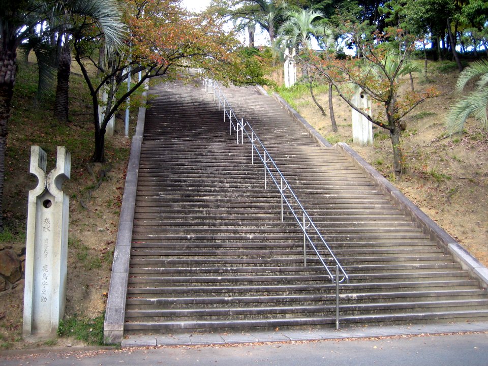 Tegarayama Central Park 12