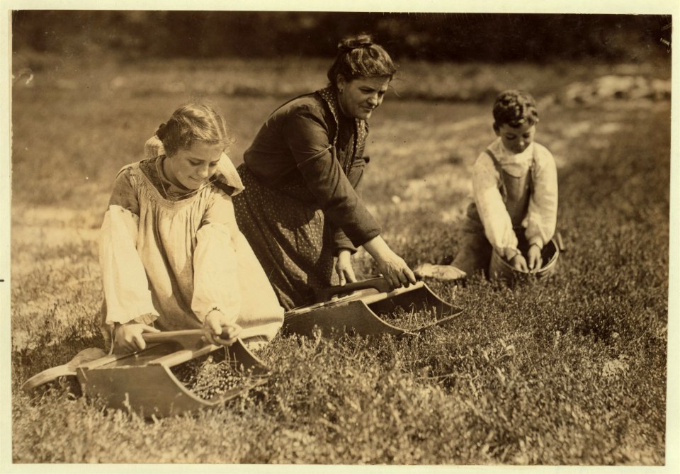 Teixiera family, 50 Lombardt St., New Bedford. Mary J., 11 years; Manuel 10 years. Mother and these two children pick 40 measures a day at 7 cents a measure. See scoops and pail in LOC cph.3a20807