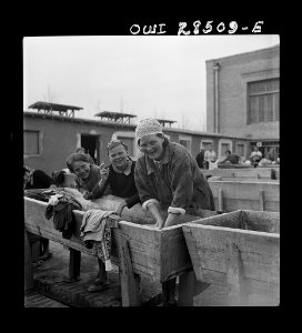 Teheran, Iran. Women doing their laundry8d29622v