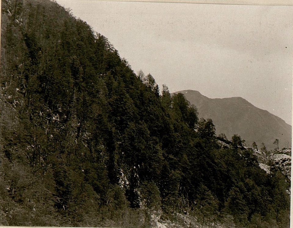 Teleaufnahme 4fach, Dol Planina ¤ 1270 vom Ostkamm Javorcek. (13-X.1917.) (BildID 15802925)