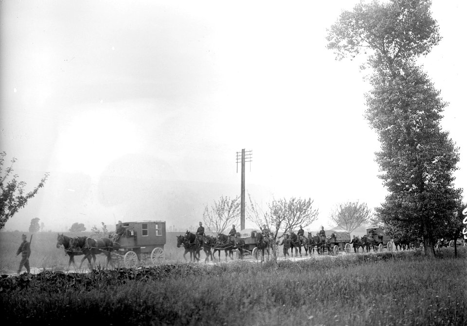Telegrafenkompanie auf dem Marsch - CH-BAR - 3238632