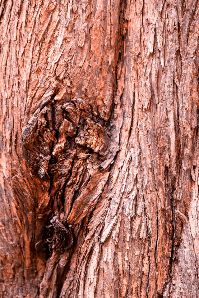 Old nature texture