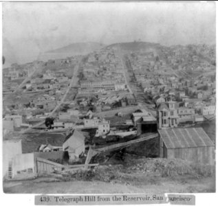 Telegraph Hill from the Reservoir, San Francisco LCCN2002722202