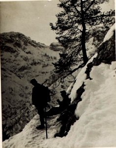 Telefonpatrouille auf dem Wege zum Weissenbachgraben (BildID 15494473)
