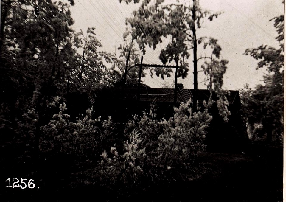 Telephon-Centrale und Rgt.Kanzlei. (3-II.1918.) (BildID 15711911)