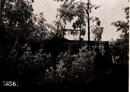 Telephon-Centrale und Rgt.Kanzlei. (3-II.1918.) (BildID 15711911)