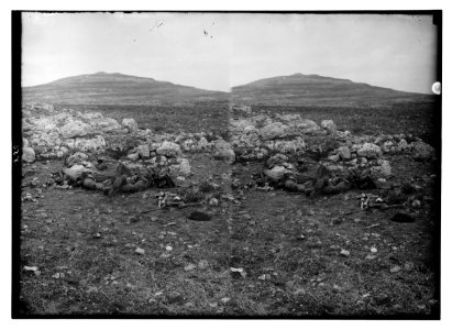 Tell el-Ful battlefield, etc. Fallen Turks scattered over the battlefield. LOC matpc.02229