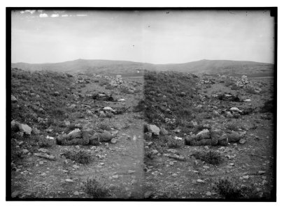 Tell el-Ful battlefield, etc. Dead Turks scattered over the battlefield. LOC matpc.02230