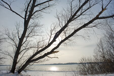 Nature river snow photo