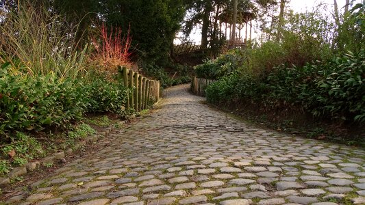 Road pavers bush hedge