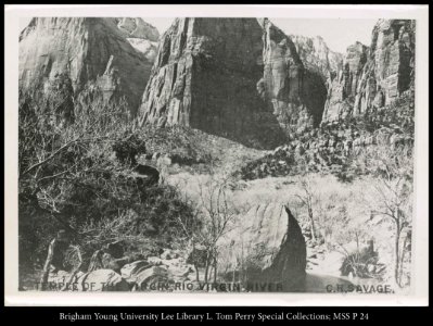 Temple of the Virgin Rio Virgin River C.R. Savage
