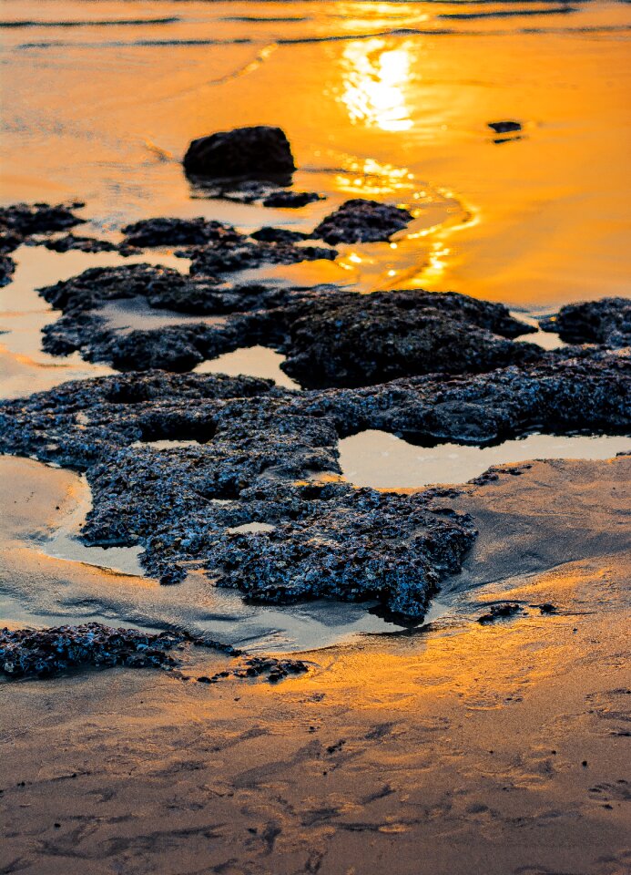 Sea beach sunset water