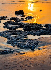 Sea beach sunset water photo