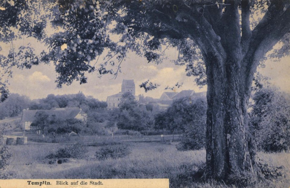 Templin, Brandenburg - Stadtansicht (Zeno Ansichtskarten)