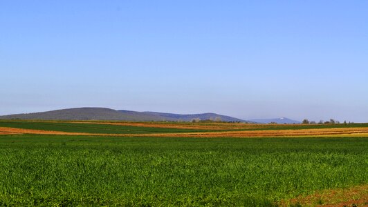 Nature poland view