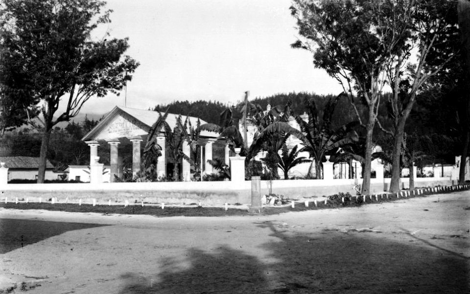 Templominervayasb1910