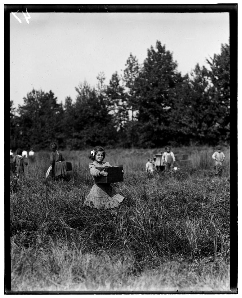 Tersea --- carrying peck of cranberries (weighing about 15 pounds) long distance to 'bushel man.' Did not know age. Forsythe's Bog, Turkeytown, near Pemberton, N.J. Sept. 29, 1910 Witness E. LOC nclc.05313