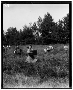 Tersea --- carrying peck of cranberries (weighing about 15 pounds) long distance to 'bushel man.' Did not know age. Forsythe's Bog, Turkeytown, near Pemberton, N.J. Sept. 29, 1910 Witness E. LOC nclc.05313