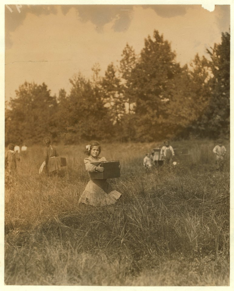 Tersea --- carrying peck of cranberries (weighing about 15 pounds) long distance to 'bushel man.' Did not know age. Forsythe's Bog, Turkeytown, near Pemberton, N.J. Sept. 29, 1910 Witness E. LOC nclc.05313
