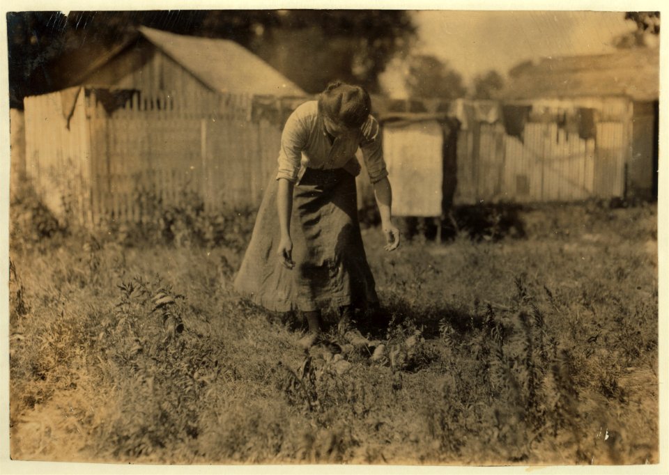 Tending the chicks-16-year old girl. Home of William Olliges. The children go to Parochial School. LOC nclc.00558