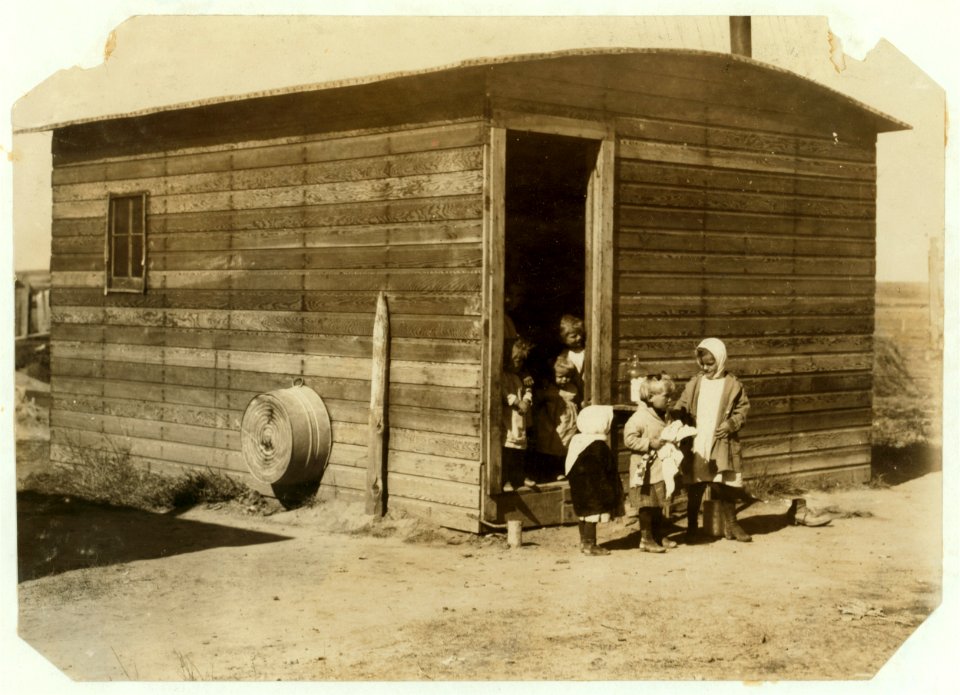 Ten-year-old Mollie Schuman left alone at the shack with all these babies and the adults far off in the field, out of sight. Mollie tops and piles too. Nine persons live in this one-room LOC nclc.00354