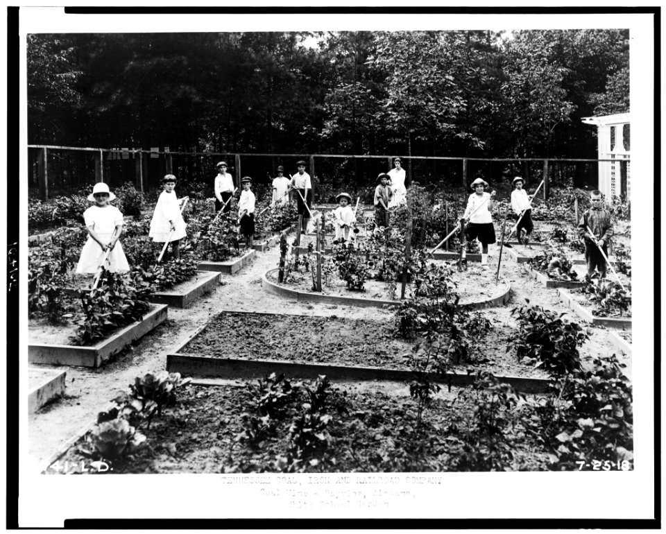 Tennessee Coal, Iron and Railroad Company. Coal mine-Bayview, Alabama, White School garden LCCN93502672
