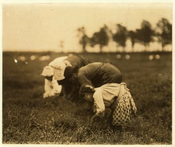 Tenjeta Calone, Philadelphia, 10 years old. Been picking cranberries 4 years. White's Bog, Browns Mills, N.J. This is the fourth week of school and the people here expect to remain two weeks LOC nclc.00048