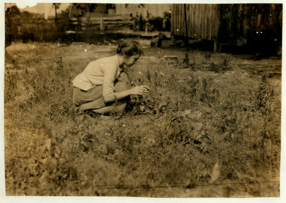 Tending the chicks. 16 year old girl. Home of William Olliges, Stithton, Ky. The children go to parochial school in Stithton. LOC nclc.00465