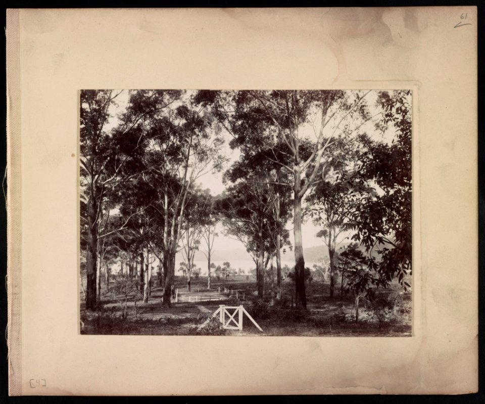 Tennis court in field by a body of water, New South Wales, Australia LCCN2016652512
