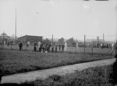 Tennis courts, Splott Park (4641299)