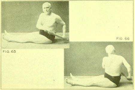 Tensing Exercises Fig65