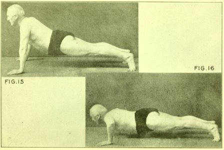 Tensing Exercises Fig15
